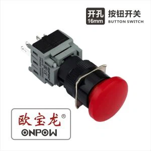 12 Volt Illuminated Push Button Switch