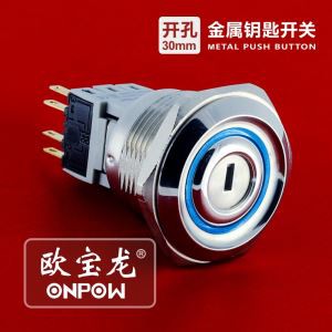 Key Operated Switch