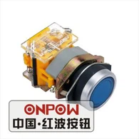 110v Momentary Switch