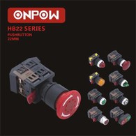 22mm Illuminated Push Button