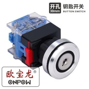 25mm 30mm Plastic Key Lock Switch