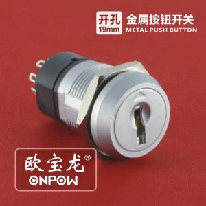 Metal Multiposition Key-lock Switch