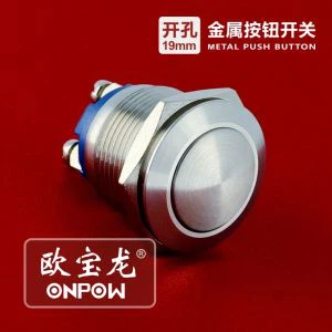Panel Mount Momentary Push Button Switch